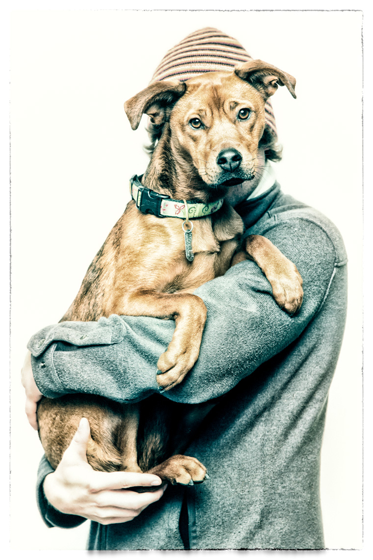 Los Angeles Dog Photography, Michael Brian, Zeus Jones Purina ONE 28 Day Challenge Asheville, North Carolina