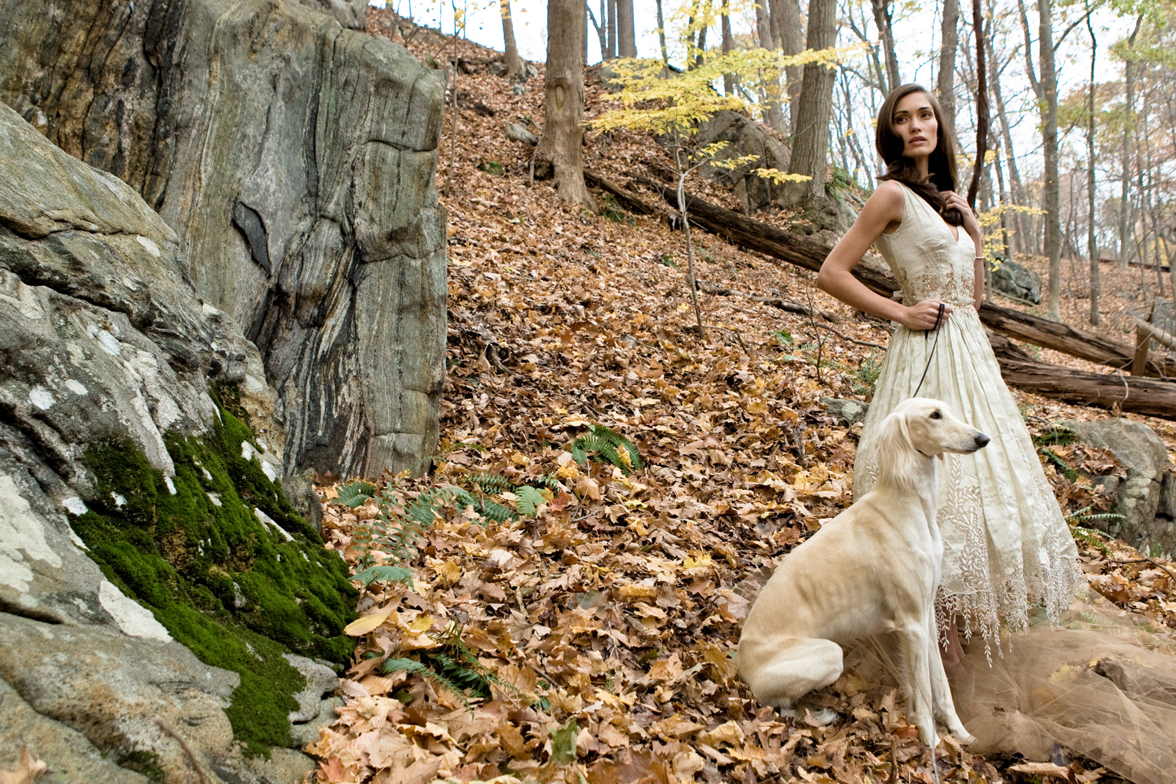 Los Angeles Dog Photography, Michael Brian, pet, cat, Woman in wedding gown in bare woods with Saluki dog