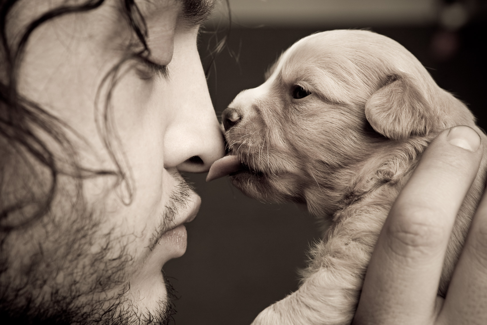 Los Angeles Dog Photography, Michael Brian, Closeup portrait of one week old puppy kissing the nose of Jason Goodrich