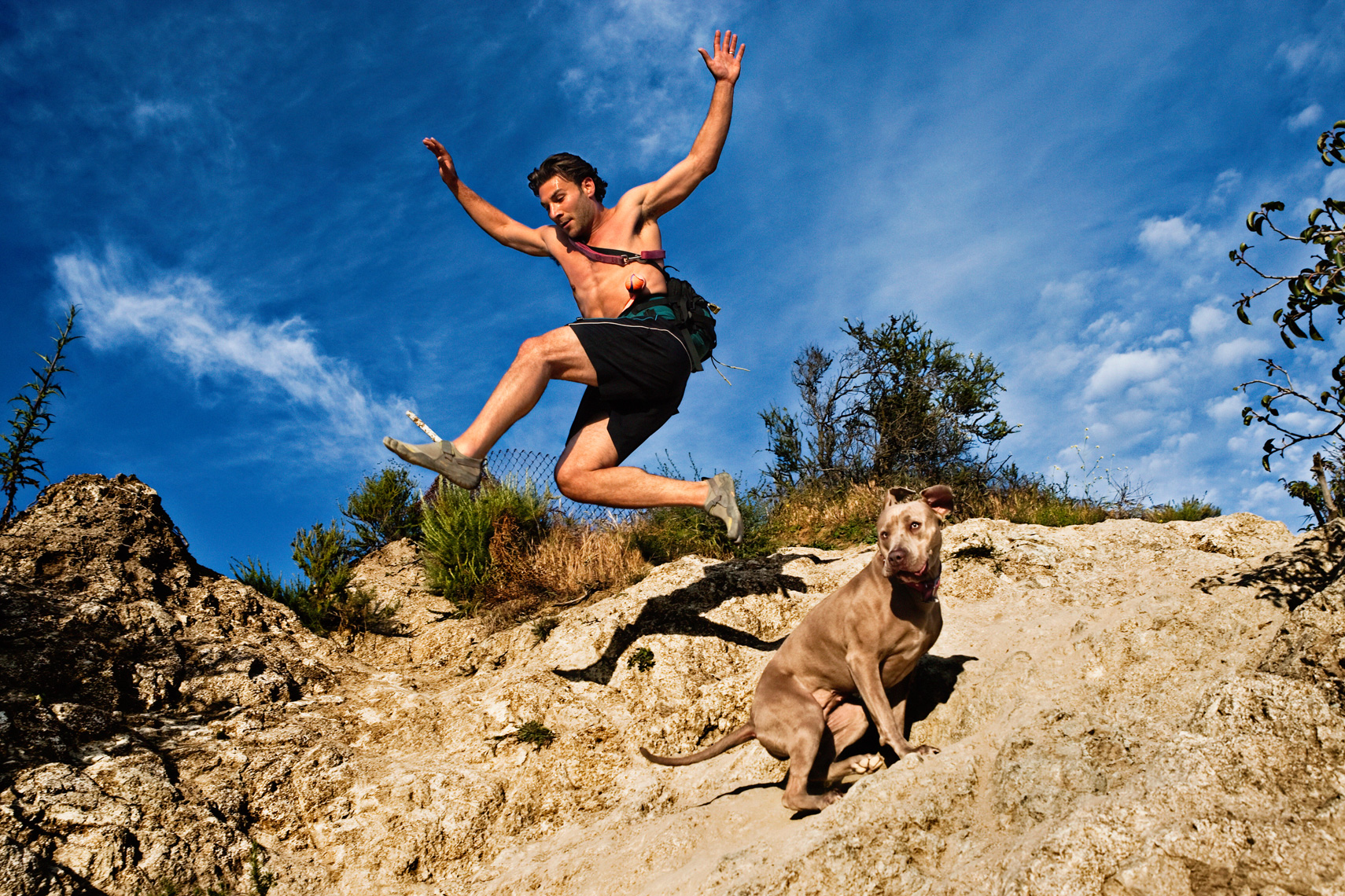 Los Angeles Dog Photography, Michael Brian, pet, cat, Athletic man jumps over Pit Bull, hiking, Runyon Canyon