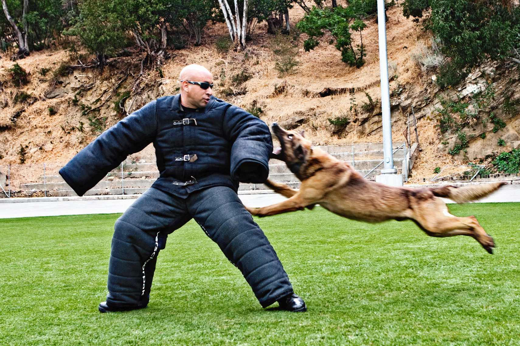 Los Angeles Dog Photography, Michael Brian, LAPD Officer and K-9, Blegian Malinois, Cesar Millan, attack training, Los Angeles Police Department, Cesar