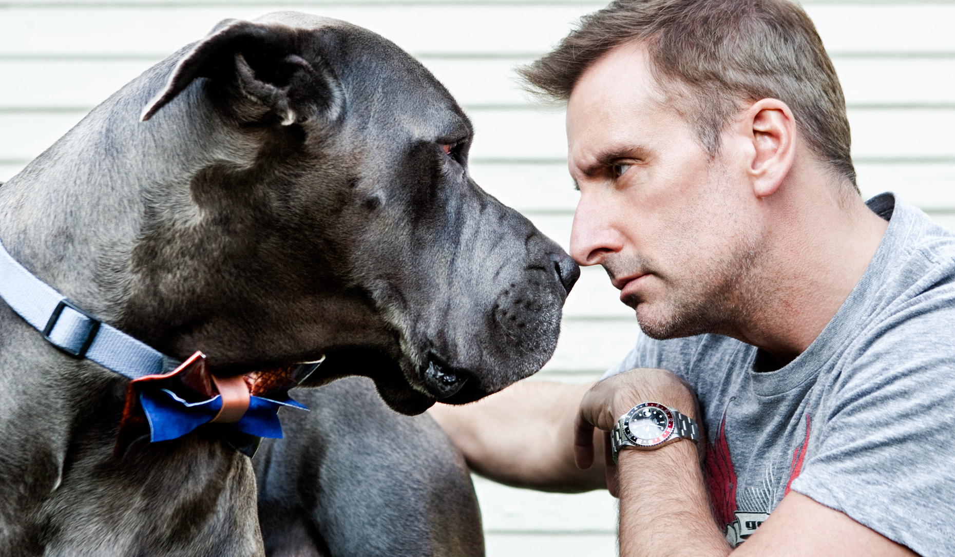 Los Angeles Dog Photography, Michael Brian, pet, cat, Brian Unger nose to nose with Great Dane