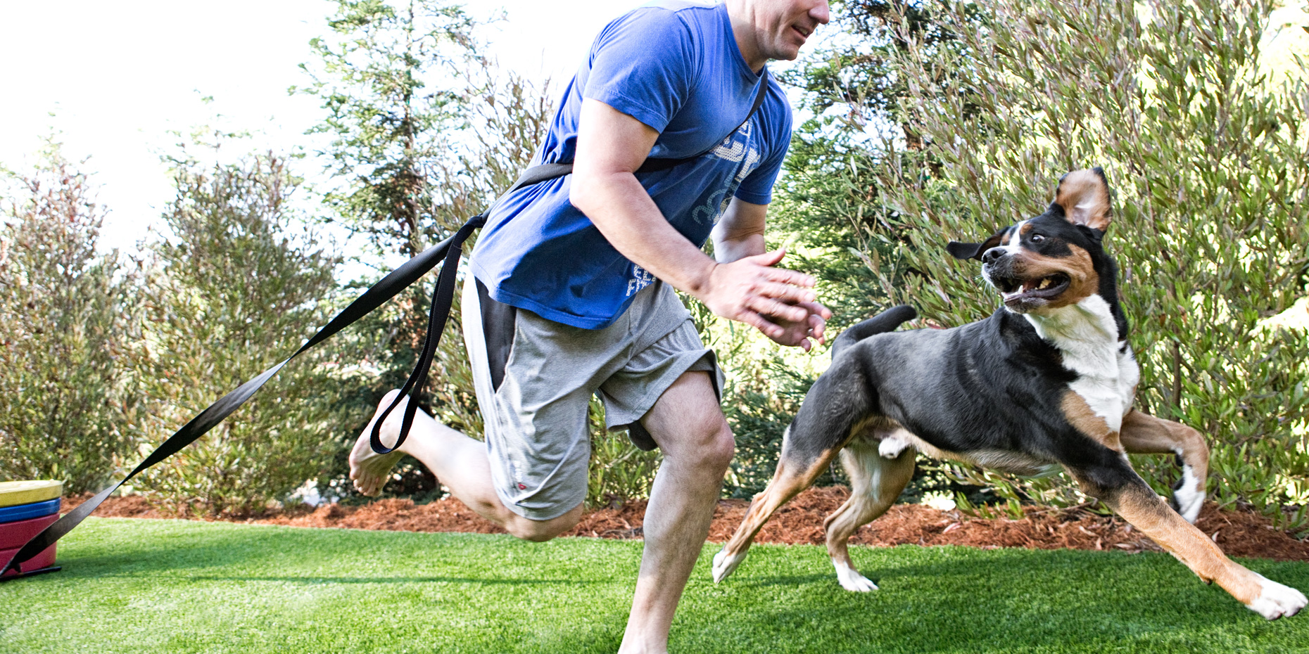 Los Angeles Dog Photography, Michael Brian, pet, cat, Man and Greater Swiss Mountain Dog run, exercise, pull weighted sled