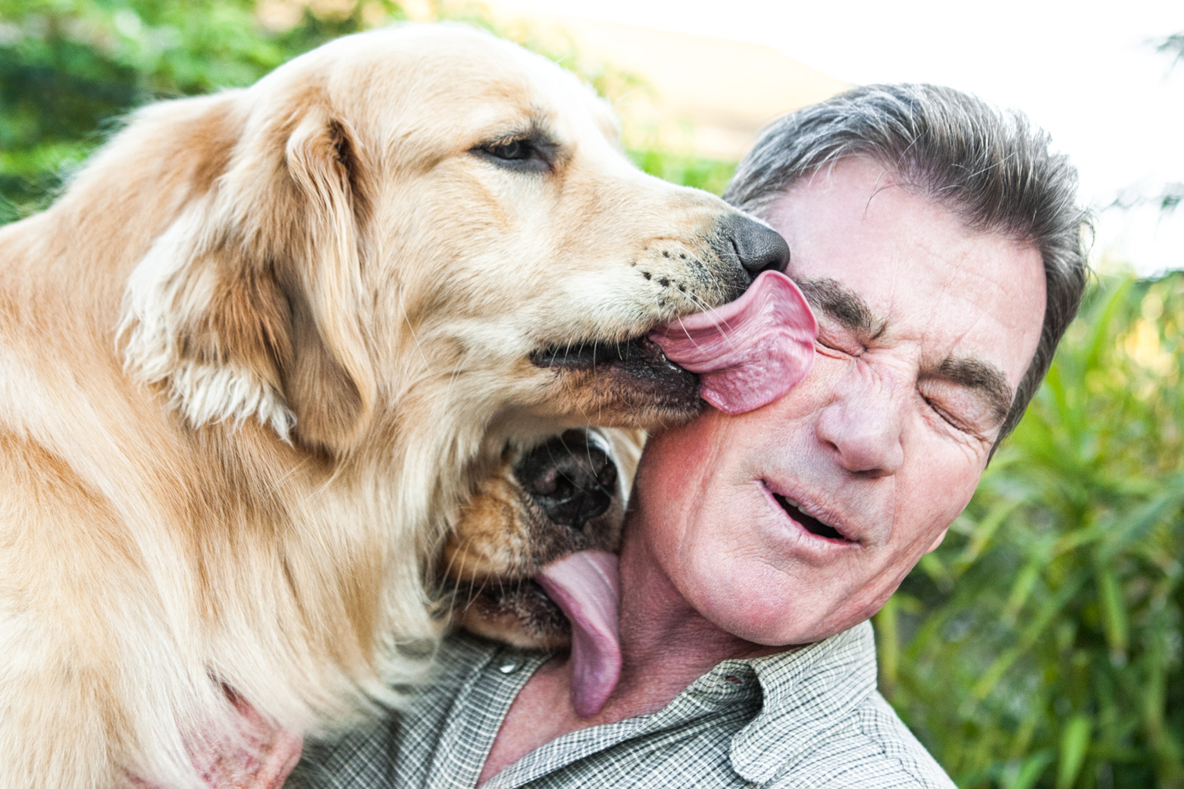 Los Angeles Dog Photography, Michael Brian, Man gets huge kisses from two Golden Retrievers