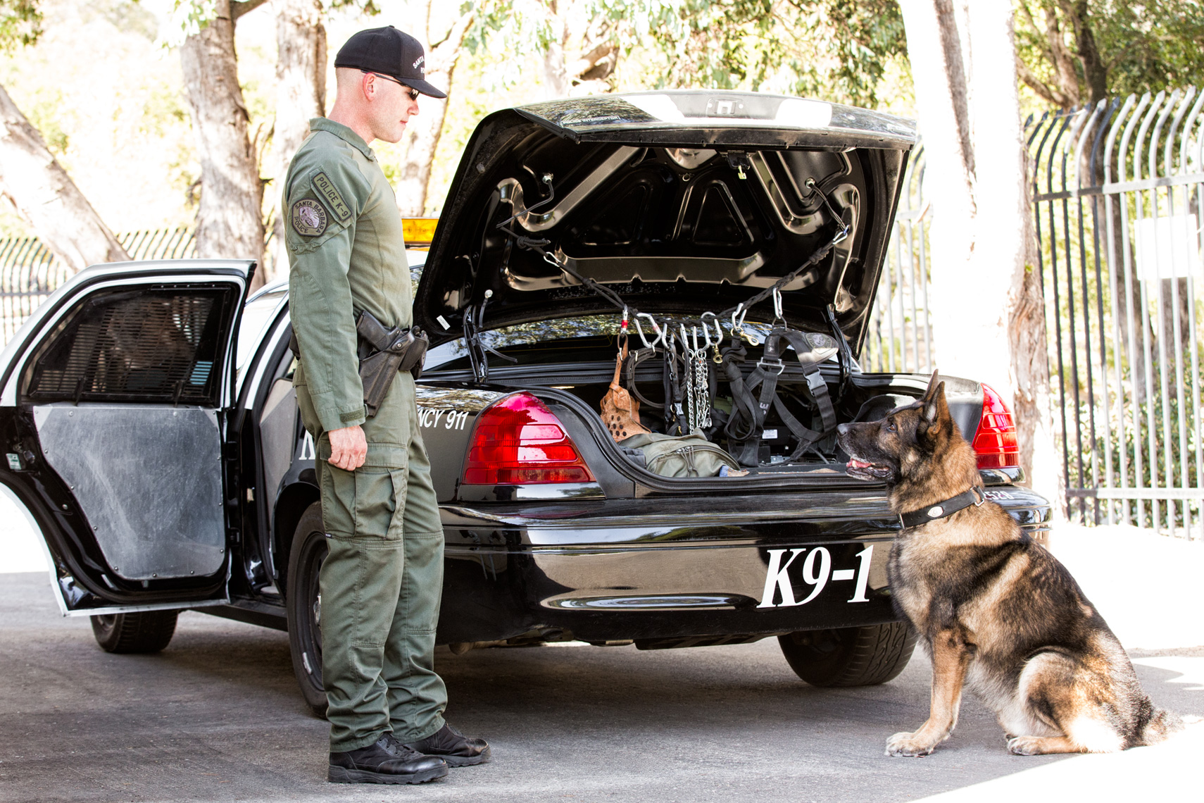 Los Angeles Dog Photography, Michael Brian, Santa Barbara Police K-9 Brag prepares for training with officer David Hedges