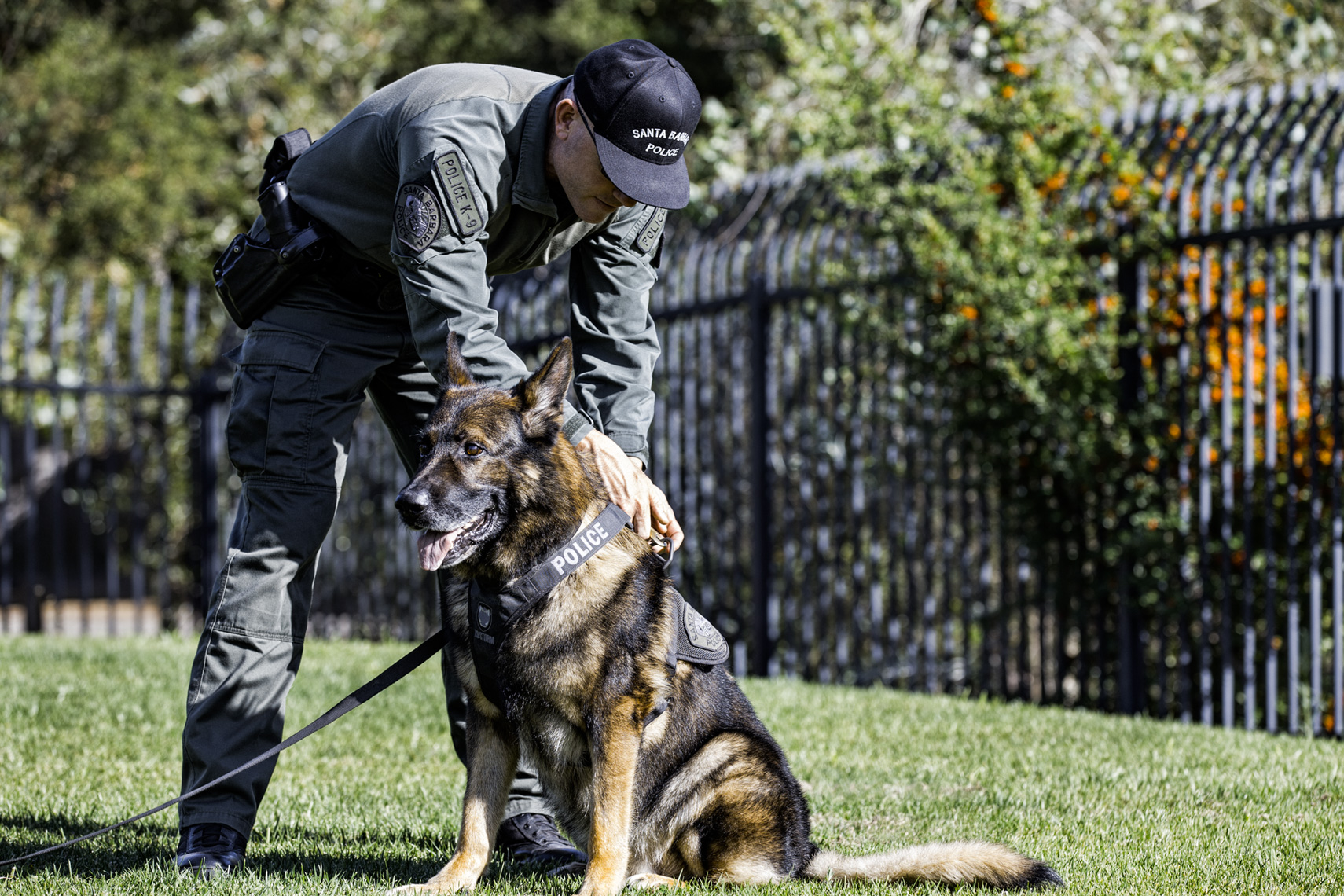 Los Angeles Dog Photography, Michael Brian, Santa Barbara Police K-9 Brag prepares for training with officer David Hedges