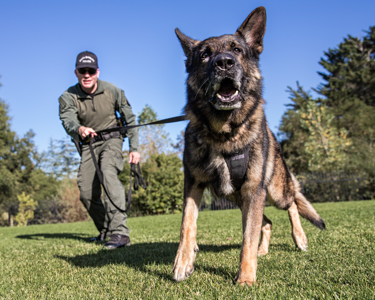 Los Angeles Dog Photography, Michael Brian, Police K-9 training, Santa Barbara Police. Brag with officer David Hedges