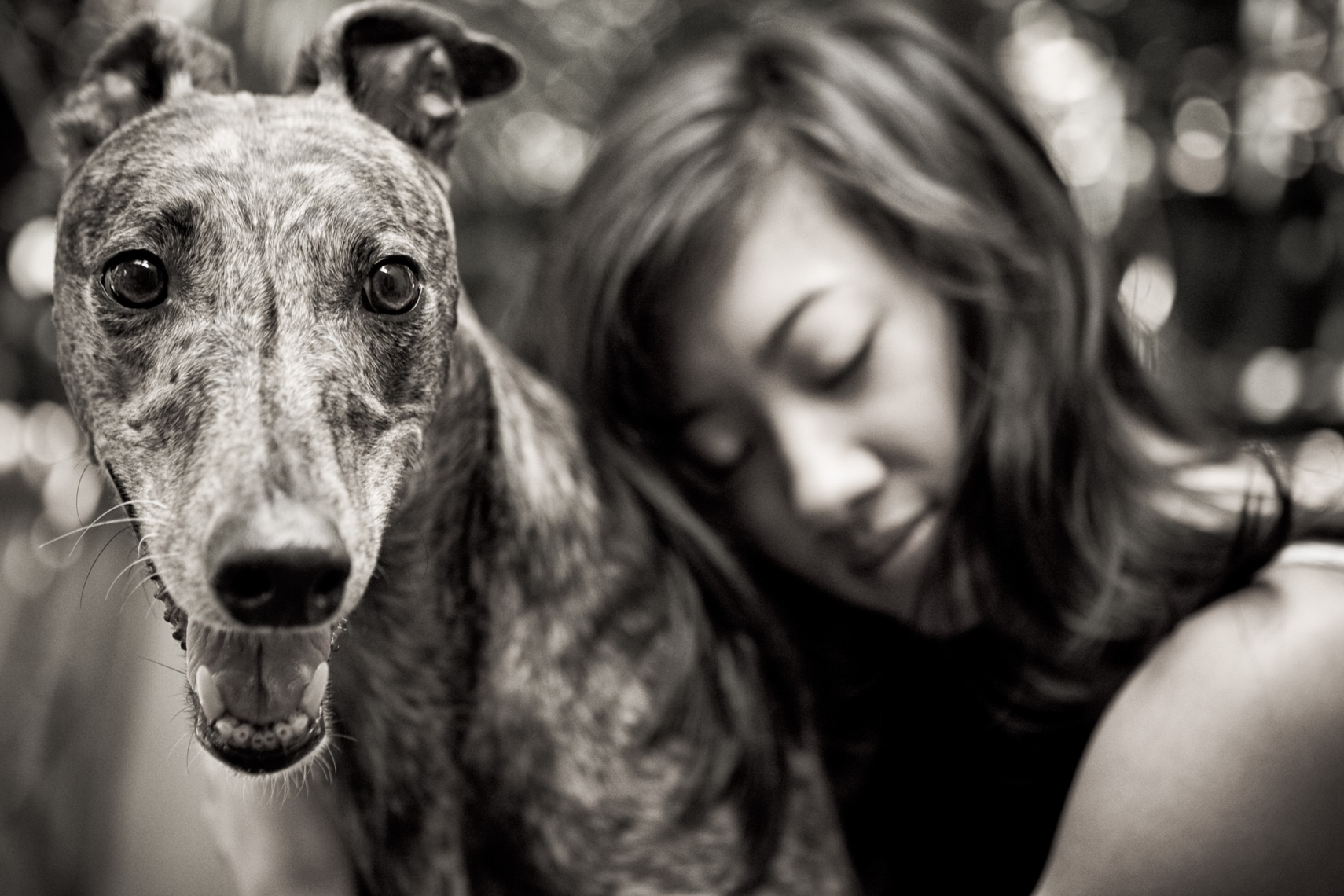 Los Angeles Dog Photography, Michael Brian, Asian girl hugging Greyhound