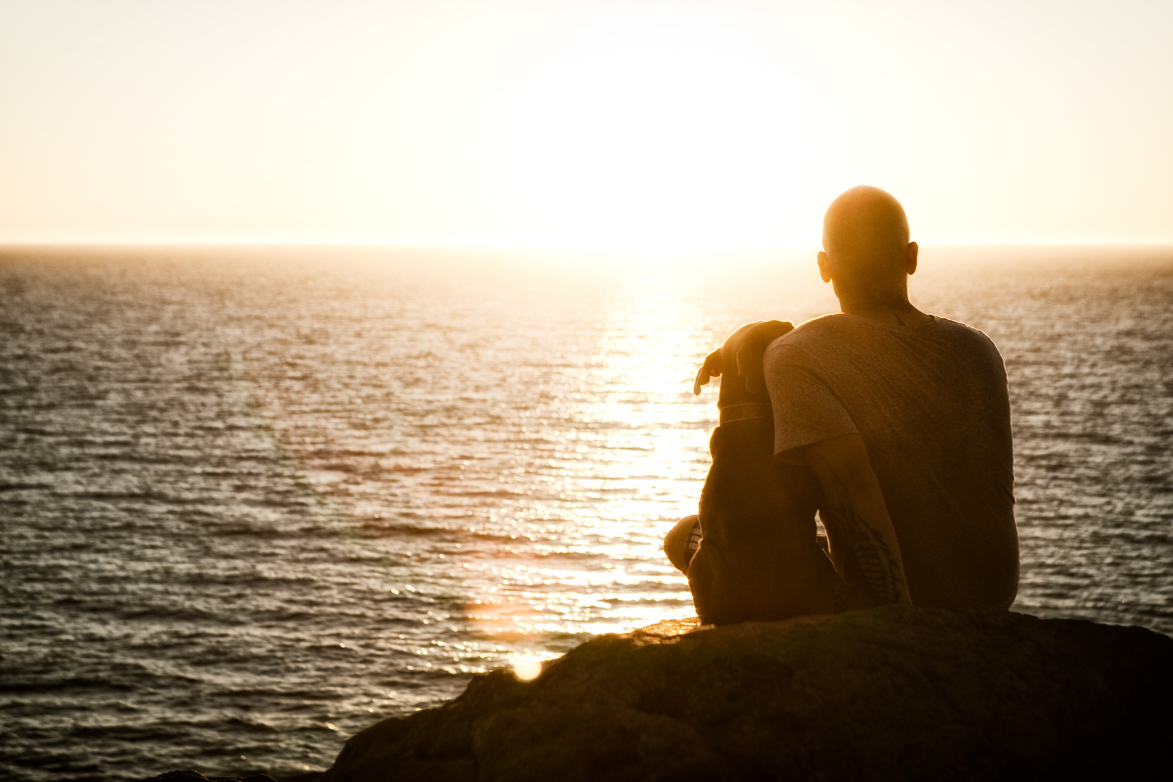 Los Angeles Dog Photography, Michael Brian, pet, cat, Tyson Kilmer sunset silhouette with Pit Bull, Dog trainer