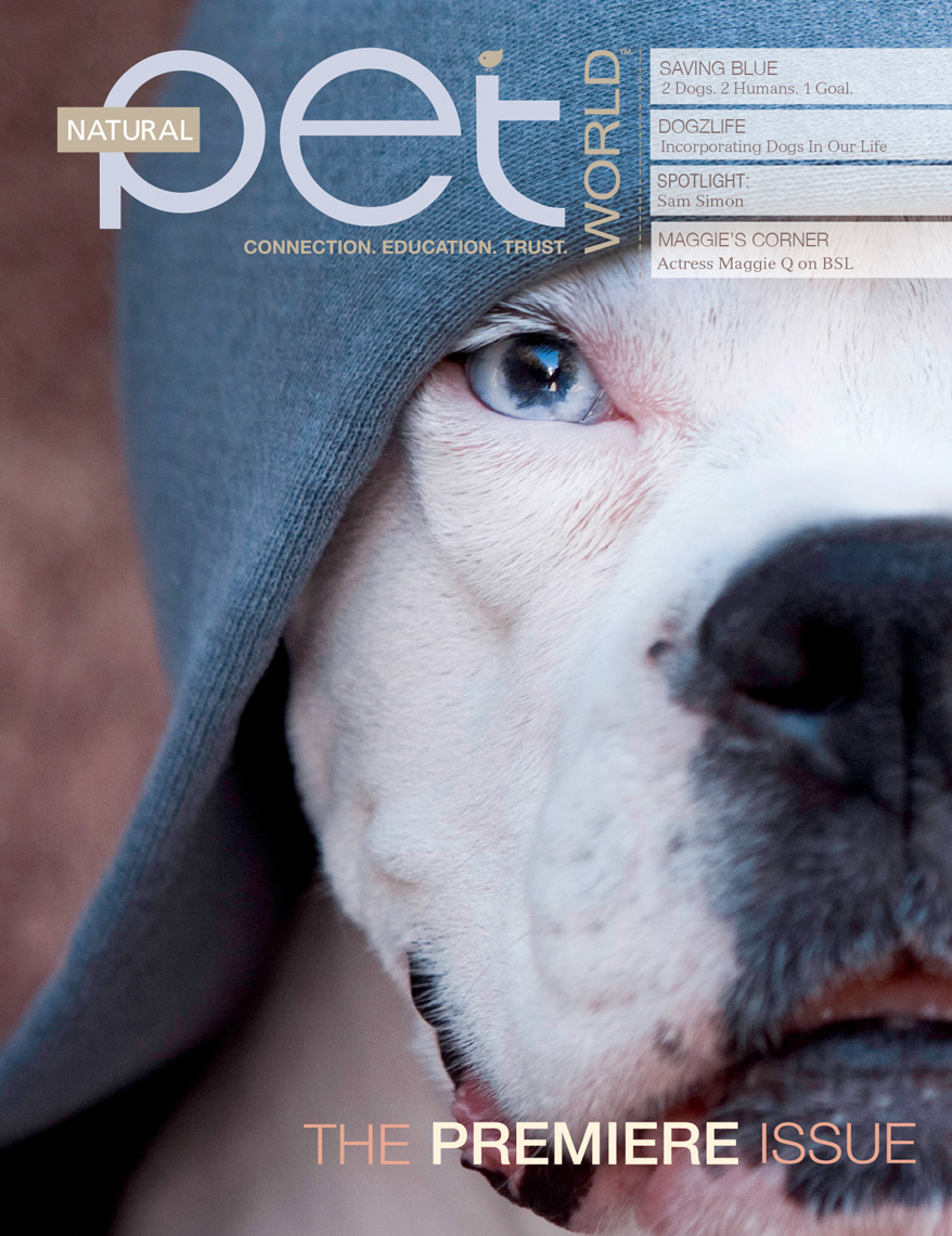 Los Angeles Dog Photography, Michael Brian, White Boxer dog in hoodie, magazine cover