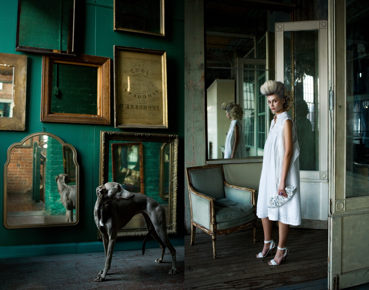 Los Angeles Dog Photography, Michael Brian, pet, cat, Marie Antoinette fashion story, Whippet, Metropolitan building, Long Island City, Footwear Plus