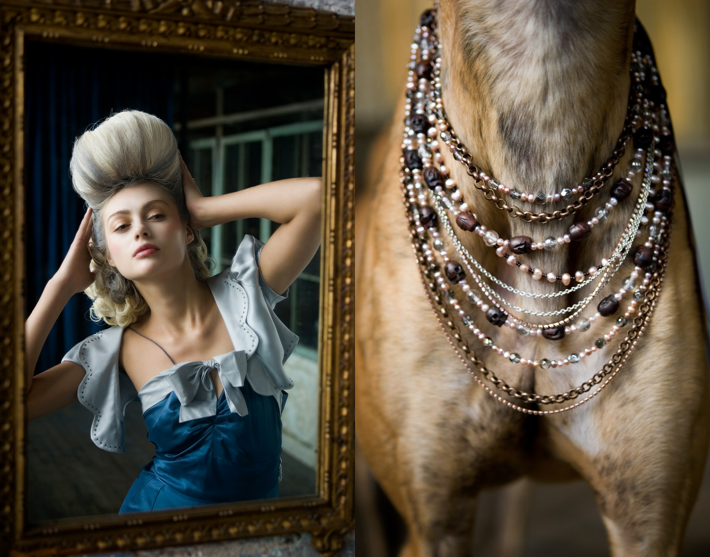 Los Angeles Dog Photography, Michael Brian, pet, cat, Marie Antoinette fashion story, Greyhound, dog necklaces, Metropolitan building, Long Island City, Footwear Plus