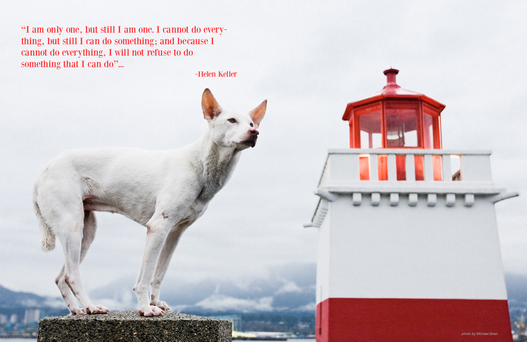 Los Angeles Dog Photography, Michael Brian, White Shepherd lighthouse, Helen Keller quote