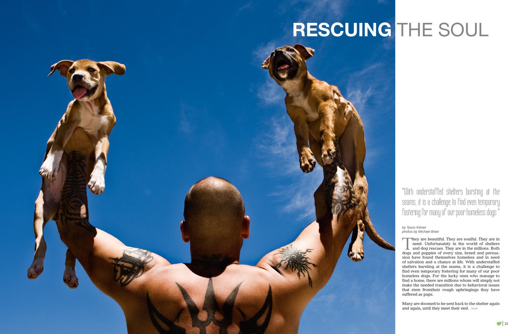 Los Angeles Dog Photography, Michael Brian, Tyson Kilmer, Dog Trainer, Rescuing the Soul