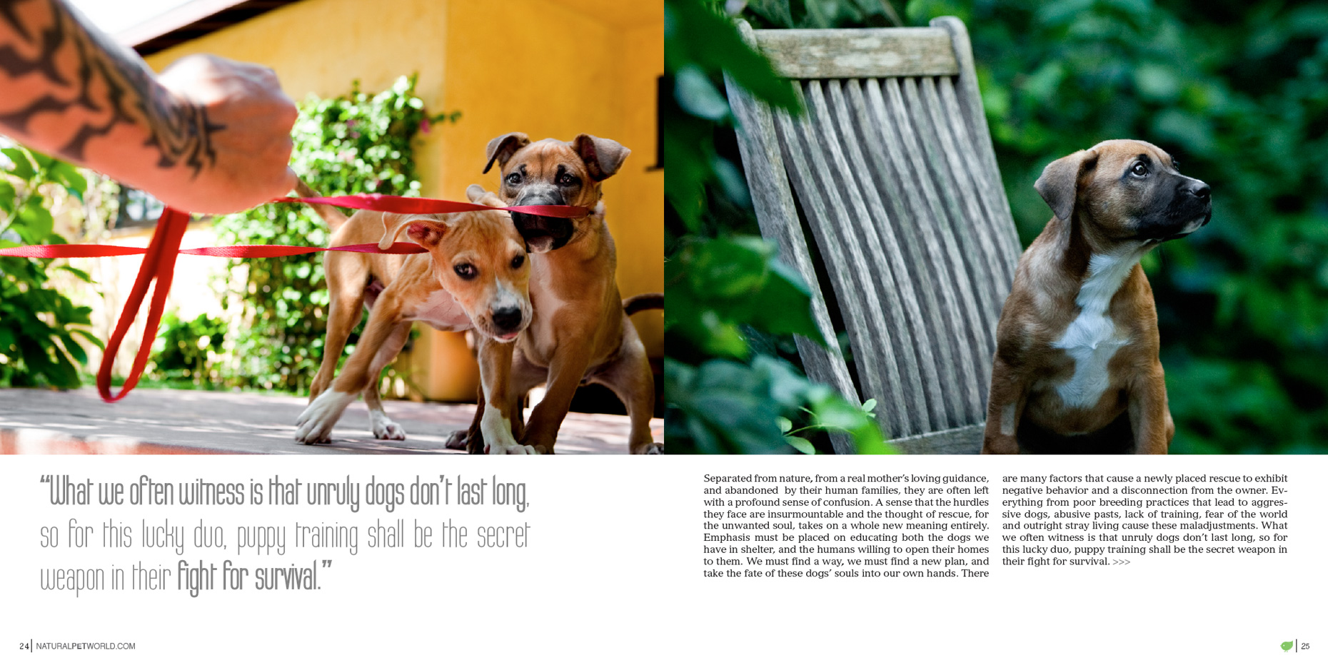 Los Angeles Dog Photography, Michael Brian, Tyson Kilmer, Dog Trainer, Rescuing the Soul