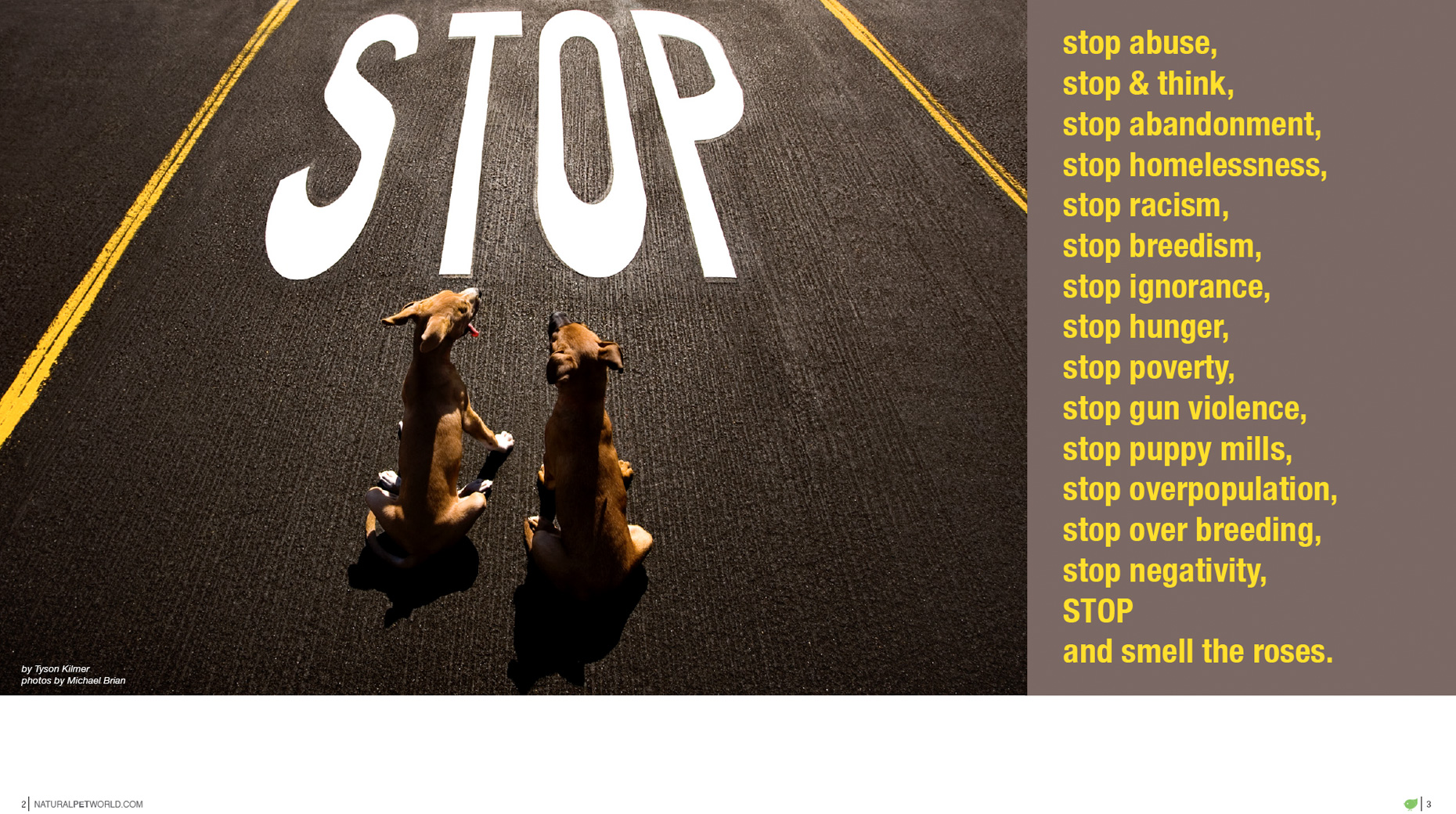 Los Angeles Dog Photography, Michael Brian, Stop abuse, stop racism, stop ignorance, stop poverty, stop and smell the roses